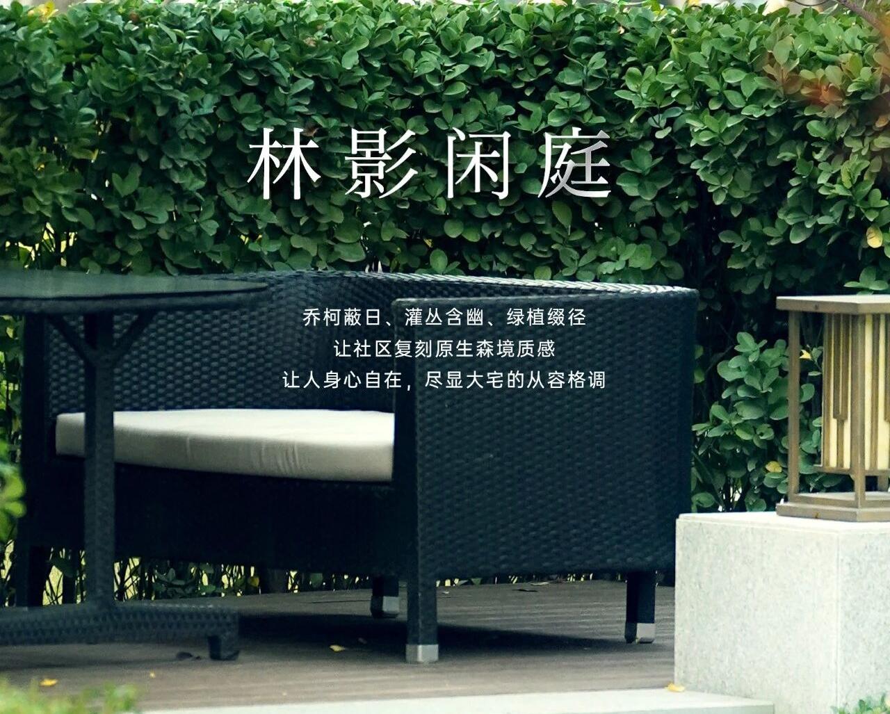 ǾĻcɭxӳµĸ˾ÿһǸ߶